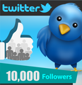 10,000 Twitter Followers