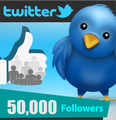 50,000 Twitter Followers