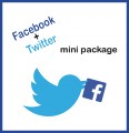 Facebook + Twitter Mini Package