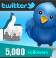 5,000 Twitter Followers
